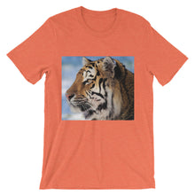 Tiger t-shirt