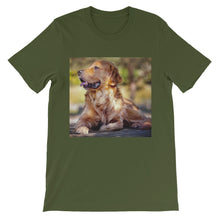 Dog t-shirt