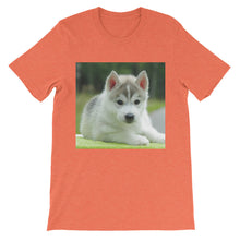 Puppy t-shirt