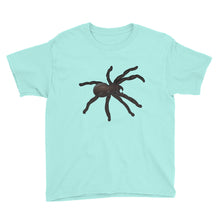 Spider Youth Short Sleeve T-Shirt