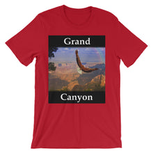Grand Canyon t-shirt