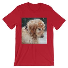 Dog t-shirt
