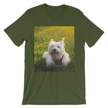 Dog t-shirt