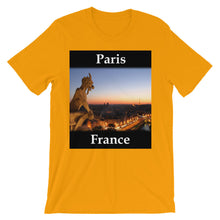 Paris t-shirt