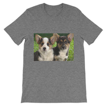 Corgis t-shirt