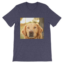 Dog t-shirt