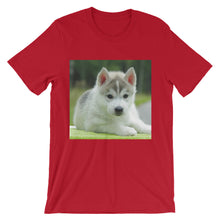 Puppy t-shirt