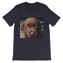 Puppy t-shirt