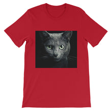 Cat t-shirt