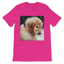 Dog t-shirt