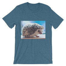 Hedgehog t-shirt