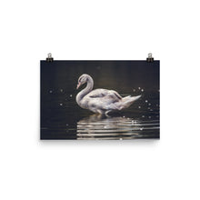 Swan poster