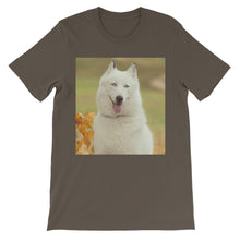 Dog t-shirt
