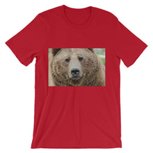 Bear t-shirt