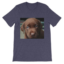 Puppy t-shirt