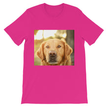 Dog t-shirt