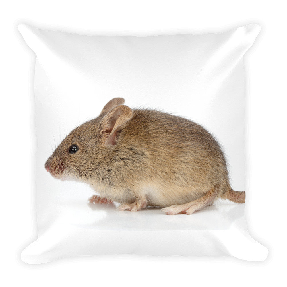 Mouse Pillow