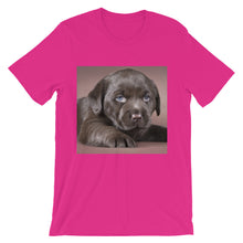 Puppy t-shirt