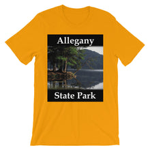 Allegany State Park t-shirt