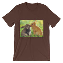 Rabbits t-shirt