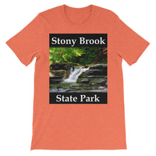 Stony Brook t-shirt