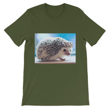 Hedgehog t-shirt