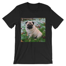 Pug t-shirt