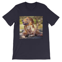 Dog t-shirt