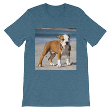 Dog t-shirt