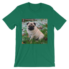 Pug t-shirt