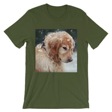 Dog t-shirt