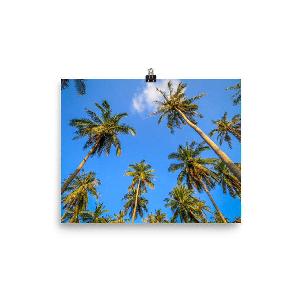 Hawaii poster