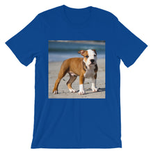 Dog t-shirt