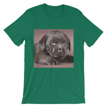 Puppy t-shirt