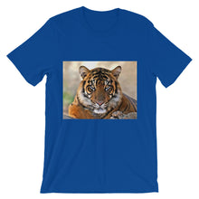 Tiger t-shirt