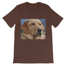 Dog t-shirt