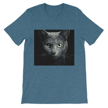 Cat t-shirt
