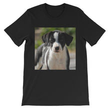 Dog t-shirt