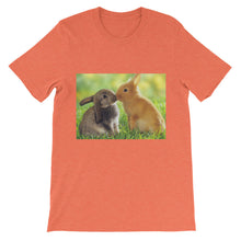 Rabbits t-shirt