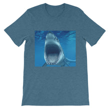 Shark t-shirt