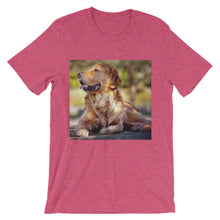 Dog t-shirt