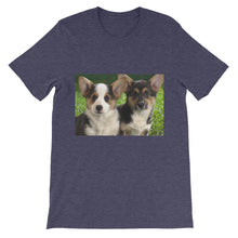 Corgis t-shirt