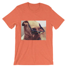Dog with glasses t-shirt