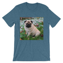 Pug t-shirt