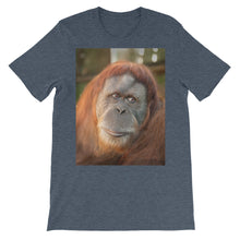 Endangered Species t-shirt
