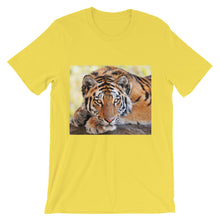 Tiger t-shirt
