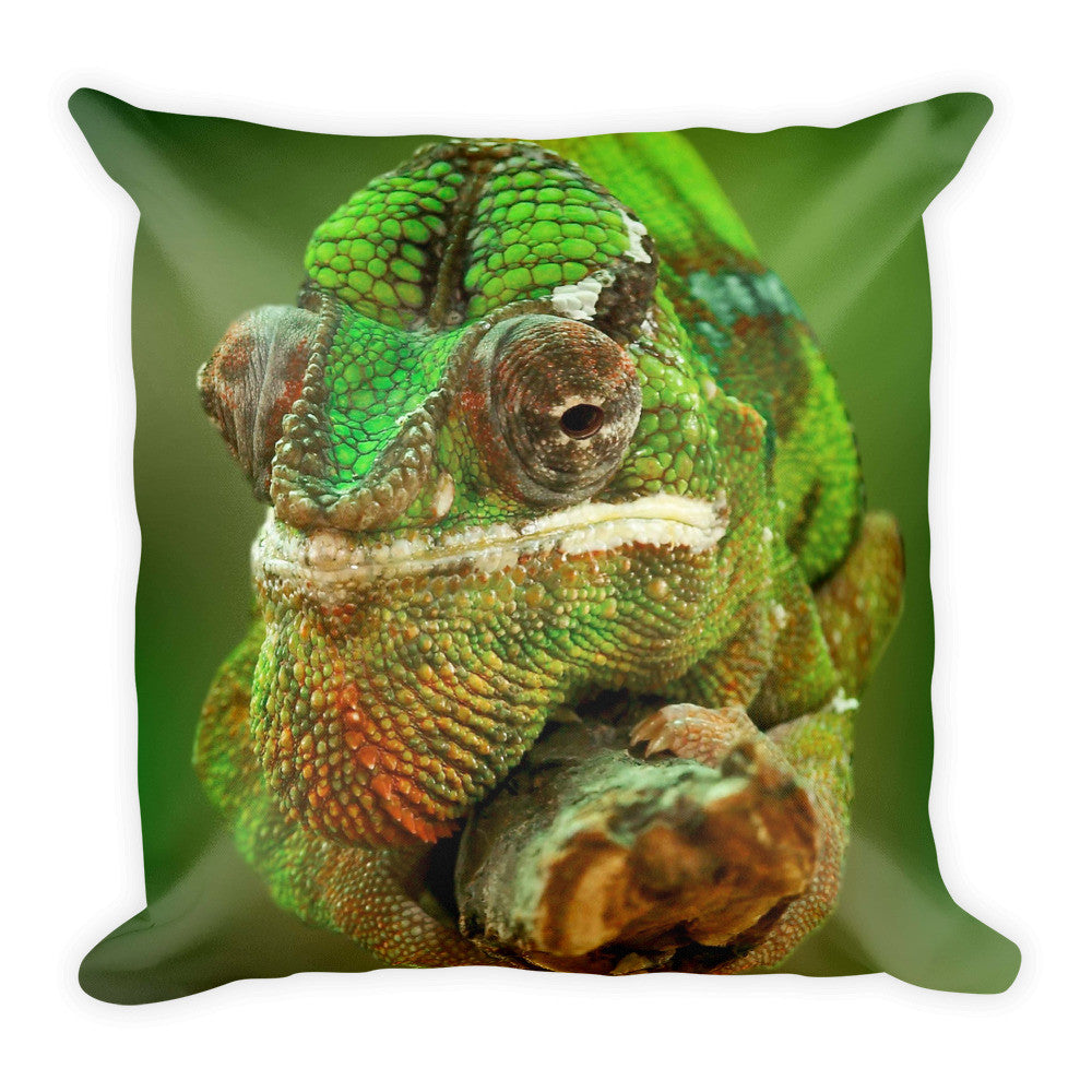 Lizard Pillow