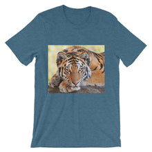 Tiger t-shirt