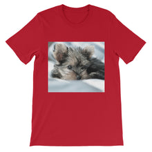 Yorkie Puppy t-shirt