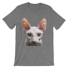 Cat t-shirt